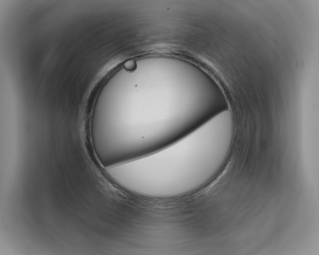 X0000111501410200907141034