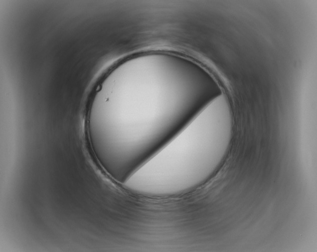X0000111501416200907141034