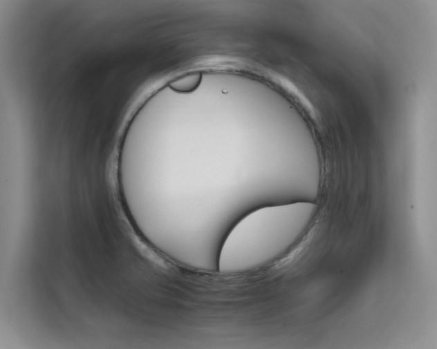 X0000111501421200907141034