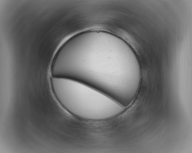 X0000111501428200907141034