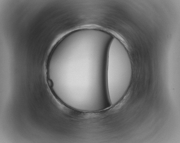 X0000111501430200907141035