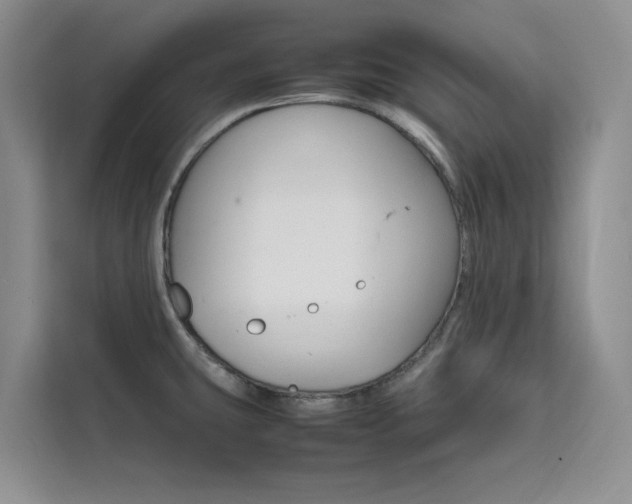X0000111501431200907141035