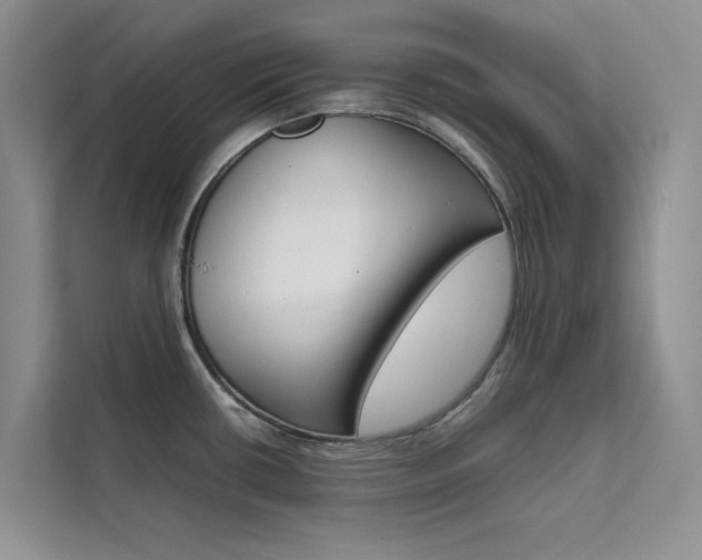 X0000111501434200907141035