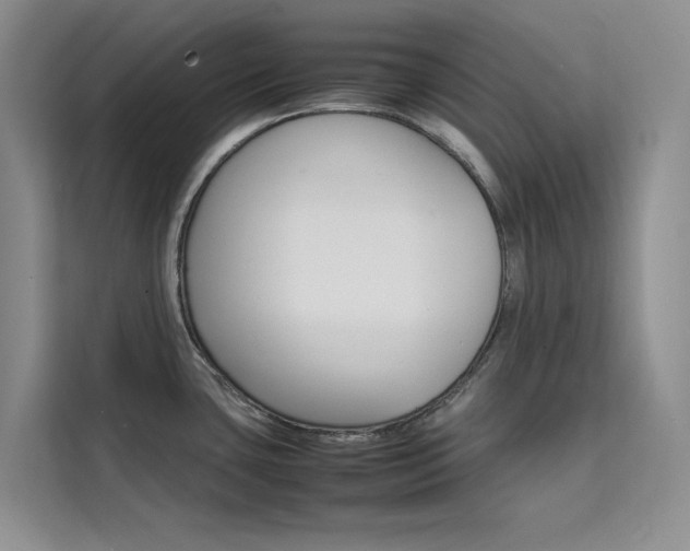 X0000111501435200907141035