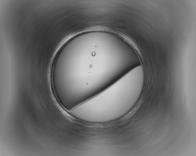 X0000111501438200907141035
