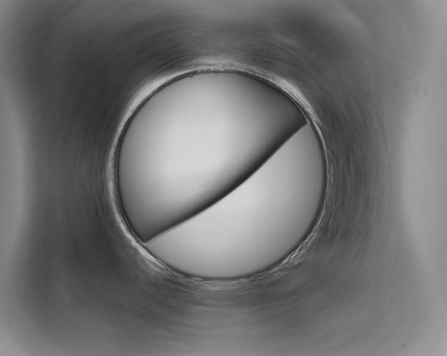 X0000111501440200907141035