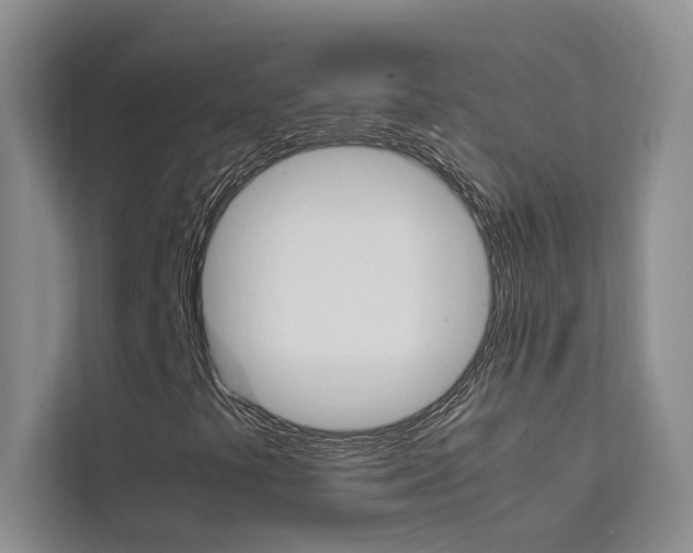 X0000111501441200907141034