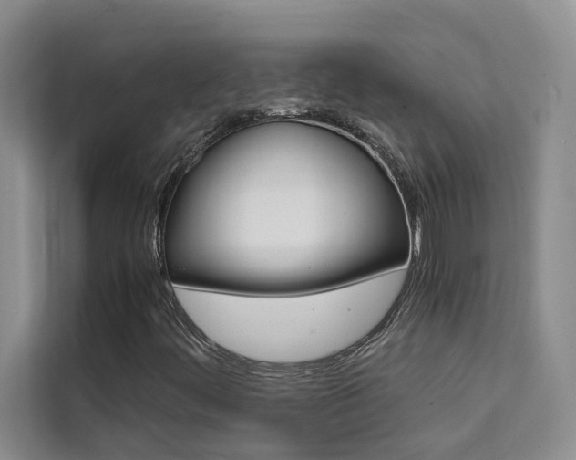 X0000111501444200907141034