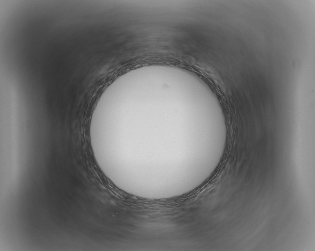 X0000111501445200907141034