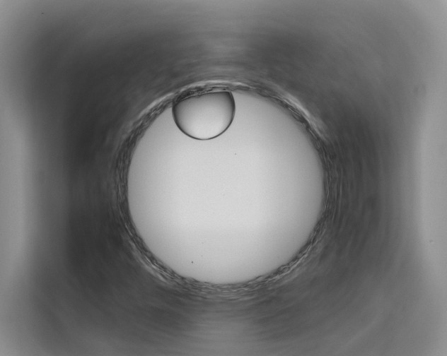 X0000111501448200907141034