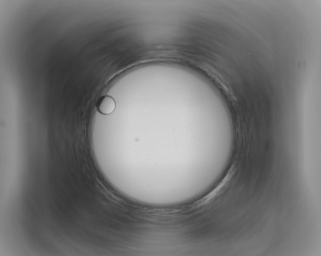 X0000111501449200907141034