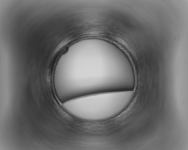 X0000111501450200907141034