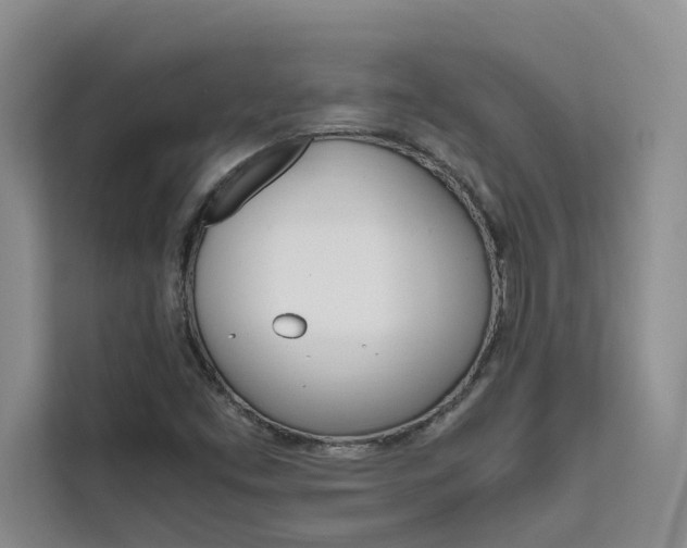 X0000111501453200907141034