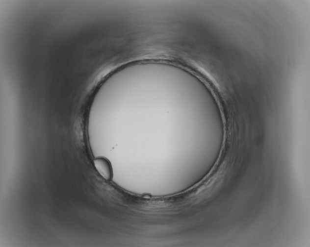 X0000111501455200907141034