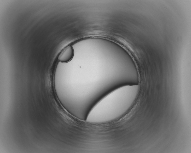 X0000111501458200907141034