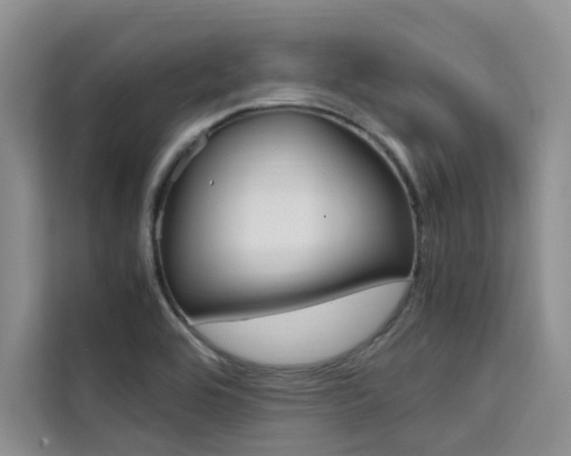 X0000111501464200907141034