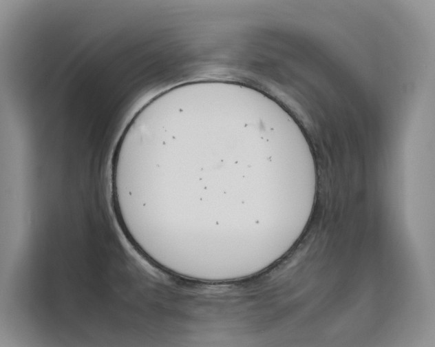 X0000111501479200907141034