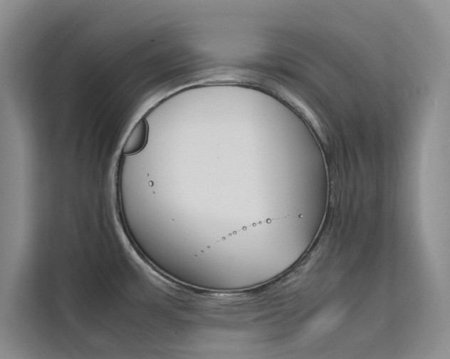 X0000111501483200907141033