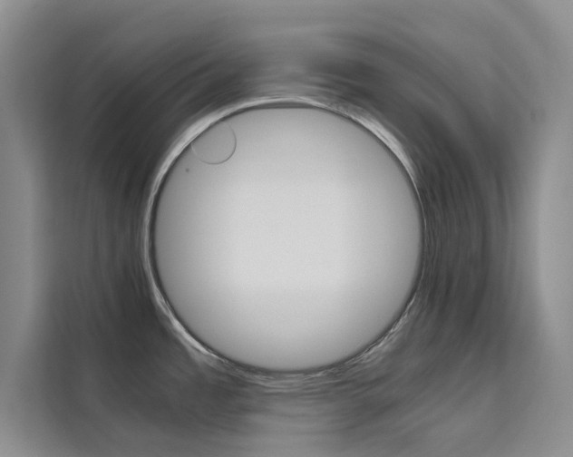 X0000111501485200907141033