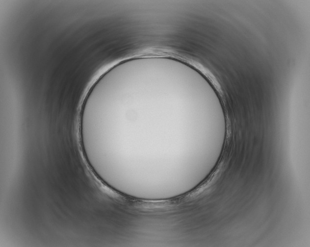 X0000111501486200907141033