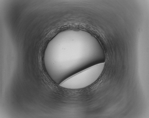 X0000111501489200907141033