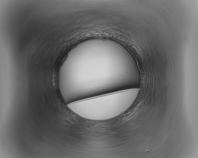 X0000111501490200907141033