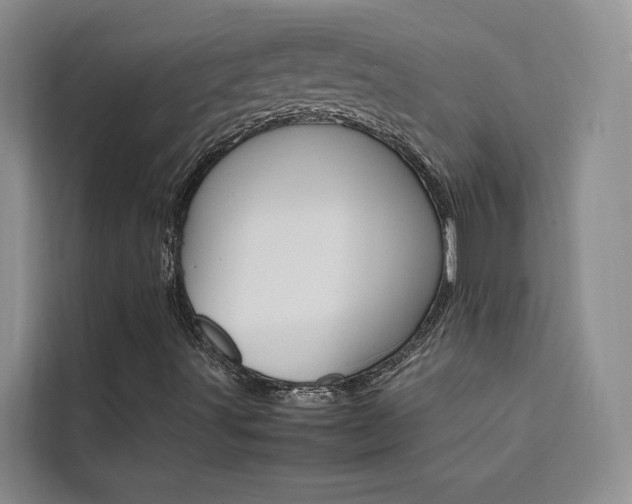 X0000111501491200907141033