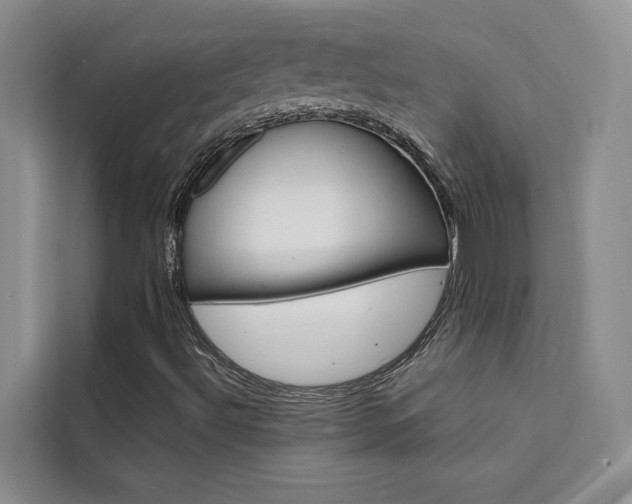 X0000111501492200907141033