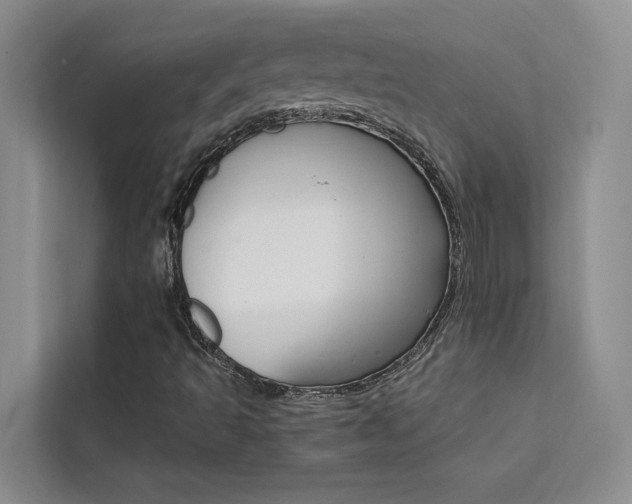 X0000111501493200907141033