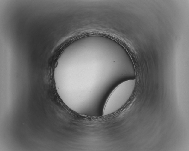 X0000111501494200907141033