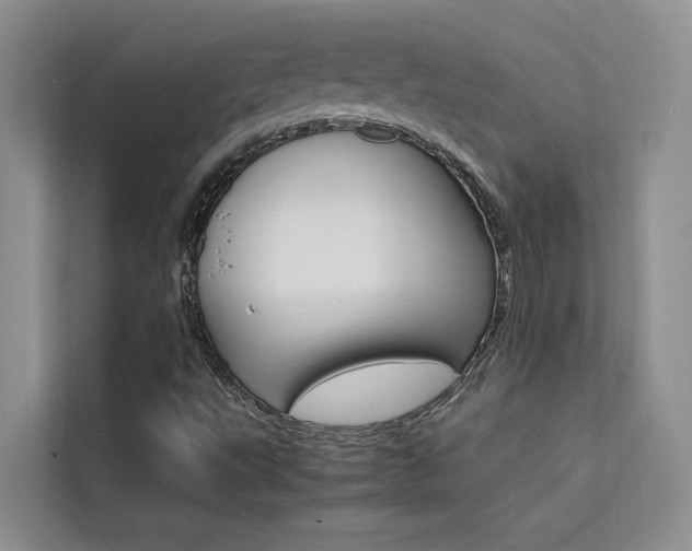 X0000111501495200907141033