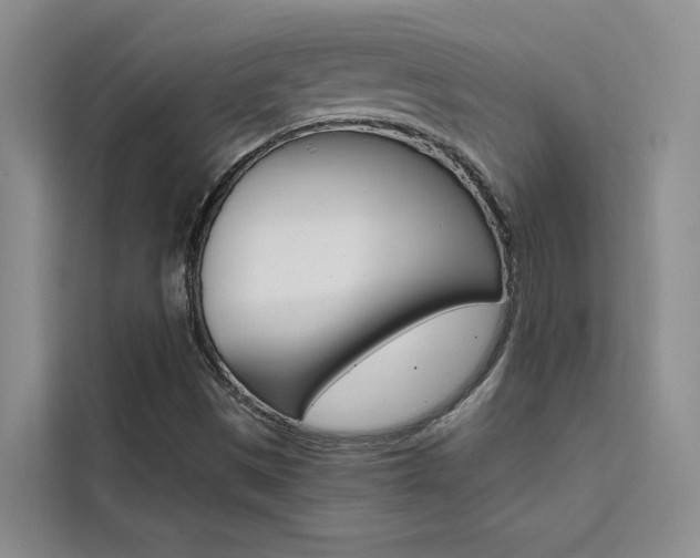 X0000111501497200907141033