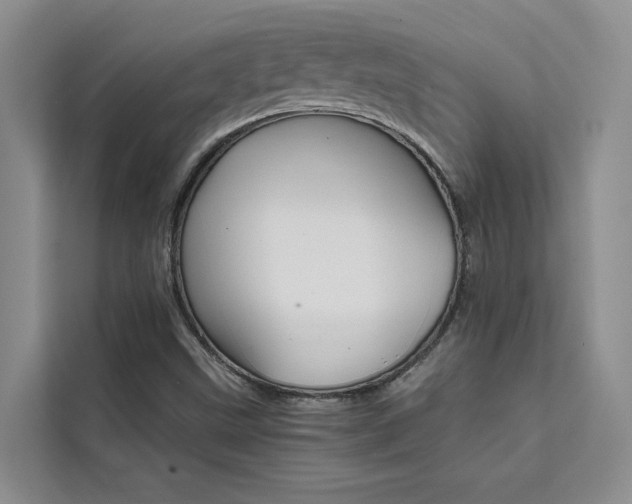 X0000111501499200907141033