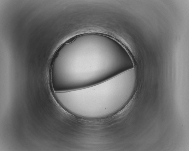 X0000111501500200907141033