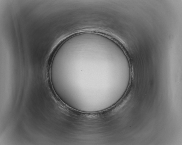 X0000111501501200907141033