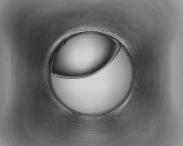 X0000111501502200907141033