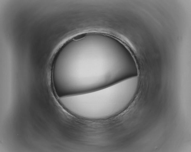 X0000111501504200907141033