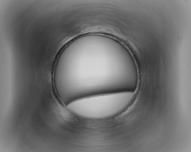 X0000111501505200907141033