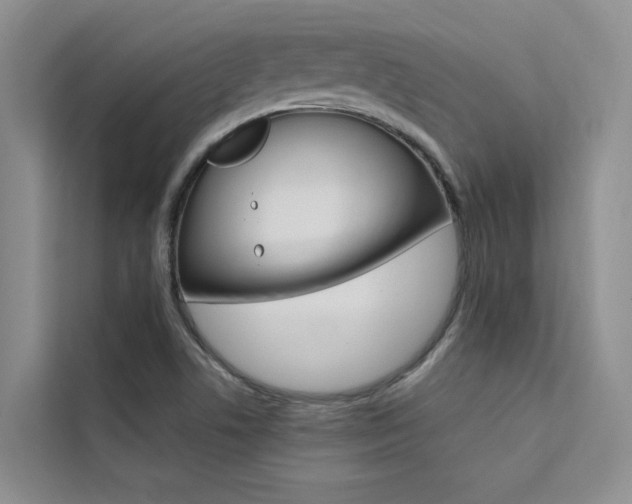 X0000111501506200907141033