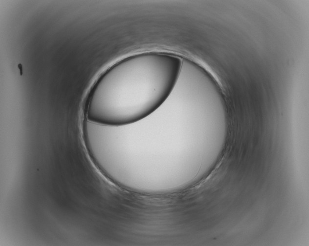 X0000111501508200907141033