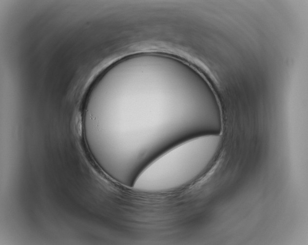 X0000111501509200907141033