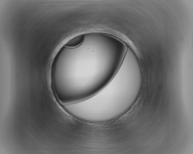 X0000111501512200907141033