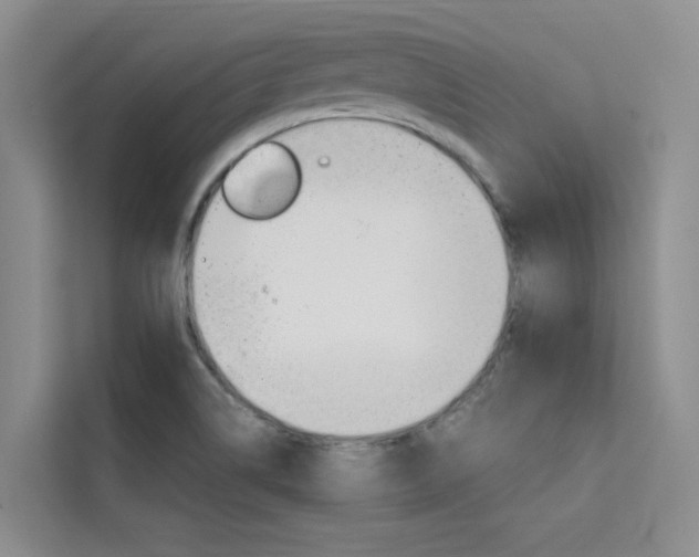 X0000111501514200907141033