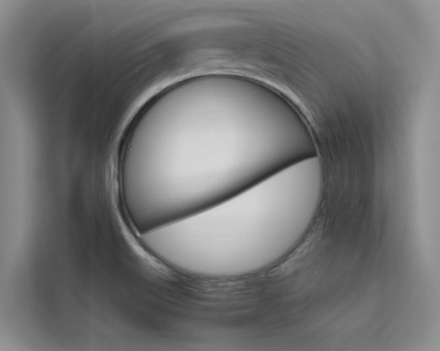 X0000111501515200907141033