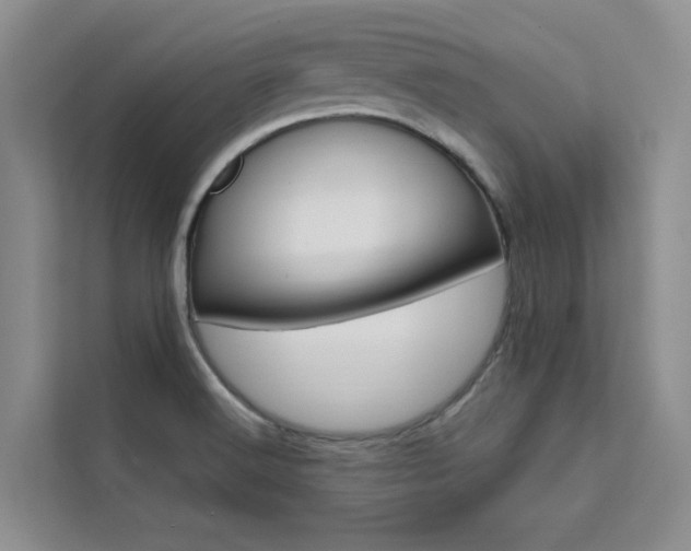 X0000111501516200907141033