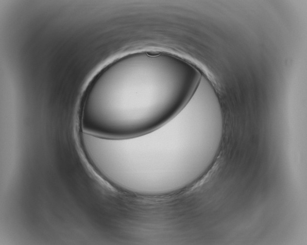 X0000111501518200907141033