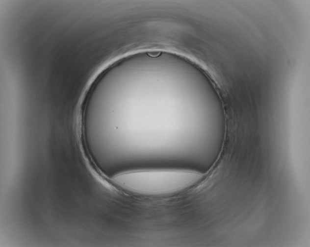 X0000111501519200907141033