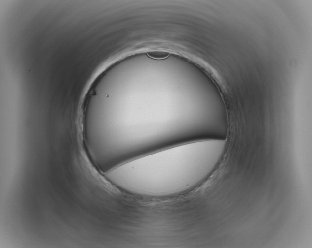 X0000111501522200907141033