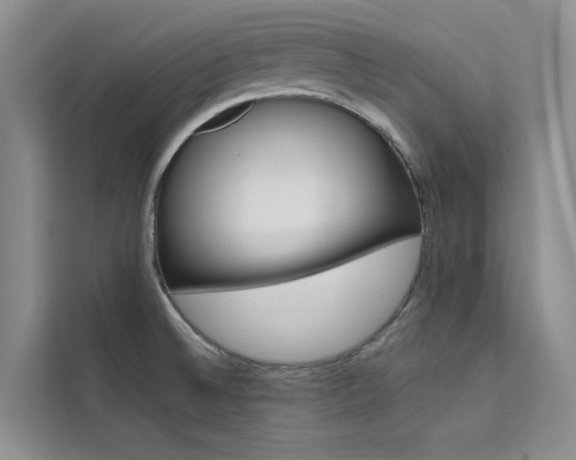 X0000111501524200907141033