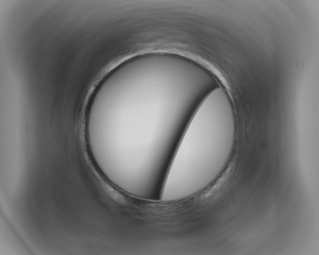 X0000111501525200907141033